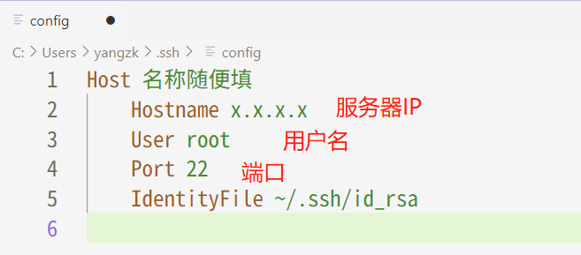 Remote-SSH config 配置示例